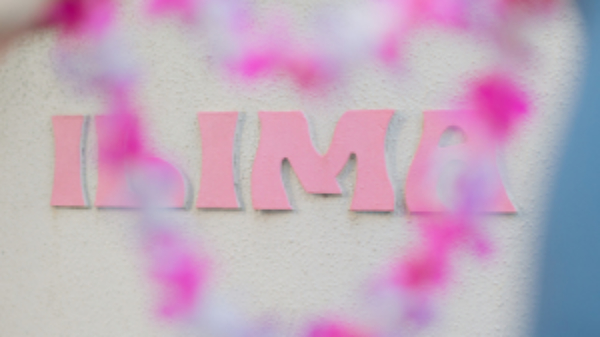 Pink and white lei garland